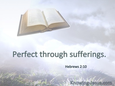 Perfect through sufferings.
